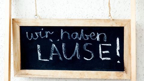 Eine Tafel zeigt die Nachricht „wir haben LÄUSE!“ in weißer Schrift auf schwarzem Hintergrund, aufgehängt an einer Wand.
