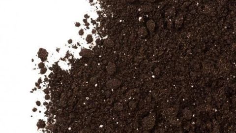 Blumenerde liegt verstreut auf einem weißen Hintergrund und zeigt ihre dunkle, krümelige Textur, ideal zum Weiterverwenden.