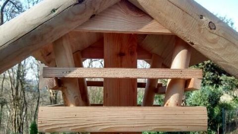 Ein Holzvogelhaus steht ruhig im Garten, umringt von Bäumen und Sträuchern und wartet auf Vögel zur Ganzjahresfütterung.