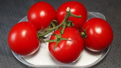 Eine Schale mit fünf reifen, roten Tomaten liegt auf einer grauen Oberfläche, bereit für den Einkauf.