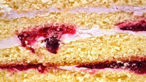 Ein saftiger Biskuitboden mit einer Schicht Fruchtmarmelade und Sahnefüllung, auf einem Backblech angerichtet.