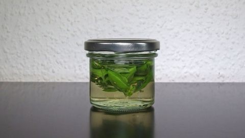 Ein Glas mit Basilikumblättern in Öl steht auf einem dunklen Untergrund, um das Basilikum aufzubewahren.