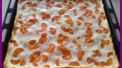 Ein flatternder Käse-Mandarinen-Kuchen vom Blech zeigt eine goldbraune Oberfläche mit Mandarinenstückchen.