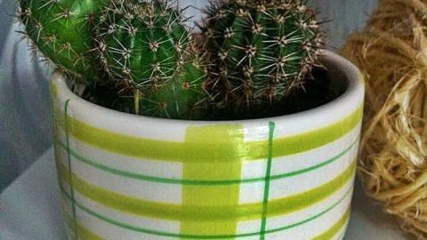 Ein kleiner Kaktus sitzt in einem grün-weiß gestreiften Blumentopf, auf einem Tisch neben dekorativer Schnur.