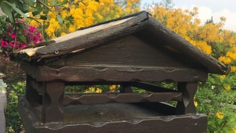 Ein hölzernes Vogelhaus steht in einem blühenden Garten, umgeben von bunten Blumen unter einem klaren Himmel.
