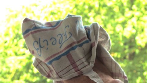 Ein Handtuch wird benutzt, um Fenster streifenfrei zu putzen, während im Hintergrund grüne Blätter sichtbar sind.