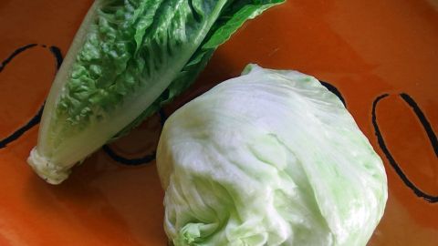 Zwei verschiedene Salatköpfe liegen auf einem orangefarbenen Teller, bereit für eine platzsparende Lagerung im Kühlschrank.