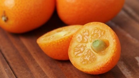 Kumquats (Zwergorangen) - exotische Früchte