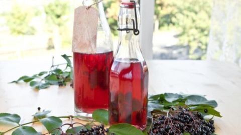 Zwei Glasflaschen mit rotem Sirup stehen auf einem Tisch, umgeben von schwarzen Johannisbeeren und Blättern, in einem hellen Raum.