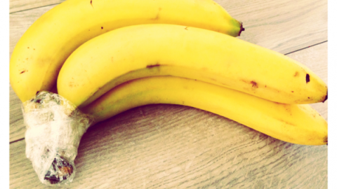 Bananen mit Frischhaltefolie um den Stiel liegen auf hellem Holzfußboden, um Haltbarkeit zu verlängern.