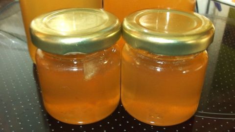 Zwei Gläser mit goldenem Holunderblüten-Gelee stehen nebeneinander auf einer dunklen Oberfläche.