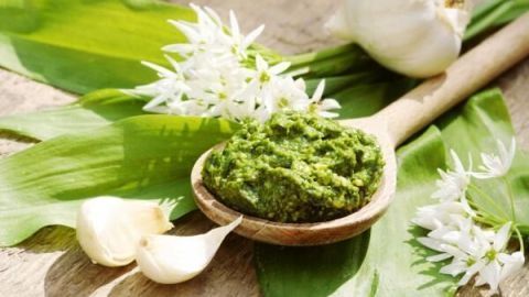 Ein Löffel mit grüner Bärlauchpaste liegt auf Bärlauchblättern, umgeben von frischen Knoblauchzehen und weißen Blüten.