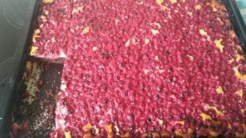 Ein saftiger Johannisbeerkuchen mit einer knusprigen Oberfläche wird auf einem Blech präsentiert. Der Kuchen ist frisch gebacken und hat eine leuchtend rote Farbgebung der Johannisbeeren.