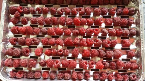Himbeeren auf Tablett im Tiefkühler, geordnet zum Einfrieren, bedecken gleichmäßig die Aluminiumoberfläche.