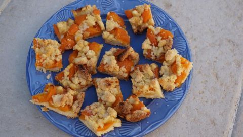 Saftige Aprikosenkuchenstücke liegen auf einem blauen Teller und warten darauf, serviert zu werden.