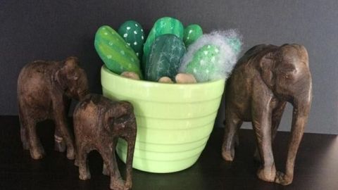 Steinkaktus befindet sich in einem grünen Topf; daneben stehen drei kleine Holz-Elefanten auf einem dunklen Regal.
