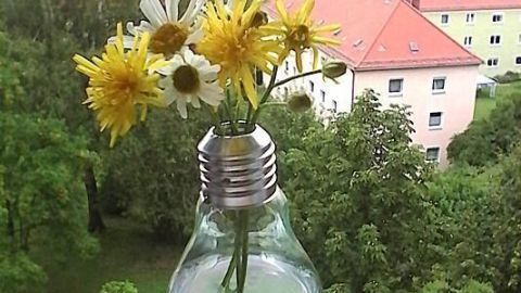 Blumenvase aus einer umfunktionierten Glühbirne hängt im Freien, gefüllt mit Gänseblümchen und Löwenzahn, über Gartenaussicht.