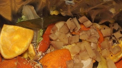 Eine Tüte mit Bio- und Restmüll enthält zerkleinerte Lebensmittelreste und Obstschalen, die zur Entsorgung bereitstehen.