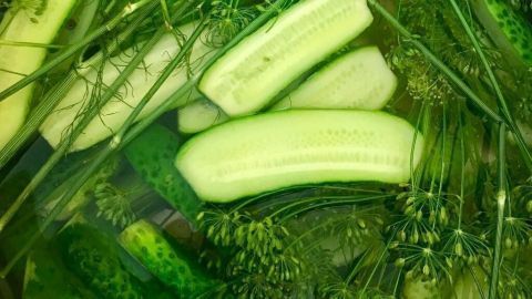 Gurken schwimmen in einer Schüssel mit Wasser und Dillzweigen, umgeben von Gewürzen und Kräutern für die Zubereitung.