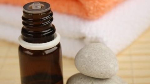 Teebaumöl hilft nicht nur bei Wellness, sondern laut Artikel auch als natürlicher Mückenschutz in deinem Zuhause.
