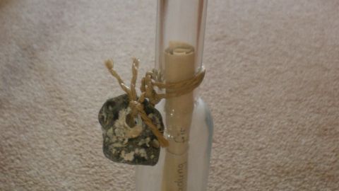 Eine transparente Flasche mit einem Korken und einer Botschaft darin steht auf einem Teppich, um maritime Einladungen zu zeigen.
