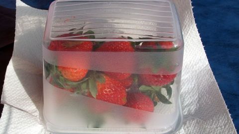 Mithilfe von Zewa, Früchte vor dem Einfrieren trocknen, so kann man sie besser einfrieren. Ein Behälter mit gefrorenen Erdbeeren liegt auf einem Zewa-Tuch, um sie frisch einzufrieren.