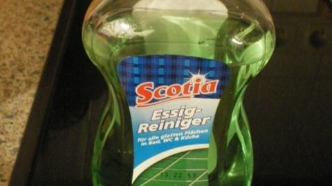 Eine Flasche Scotia Essigreiniger steht auf einer Küchenarbeitsplatte. Text: "Essig-Reiniger, für alle glatten Flächen in Bad, WC & Küche, mit Citrus-Kraft".