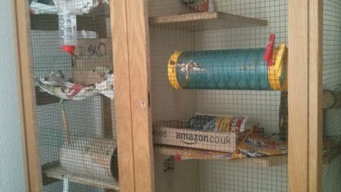 Ein Nagerkäfig aus Holz mit mehreren Etagen, eingerichtet mit Spielzeug und Nistmaterial, steht in einem Raum.
