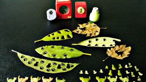 Herbstlaub liegt angeordnet auf einem Tisch, während kreative Bastelmaterialien und kleine Tierfiguren präsent sind.