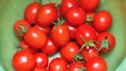 Reife, saftige Tomaten liegen in einer grünen Schüssel und warten darauf, für die schnelle Tomatensoße verarbeitet zu werden.