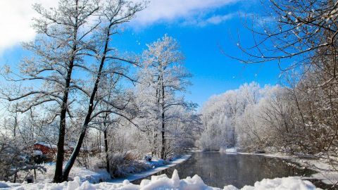 Schneebedeckte Bäume stehen am Ufer eines gefrorenen Flusses, unter einem klaren blauen Himmel im Winter.