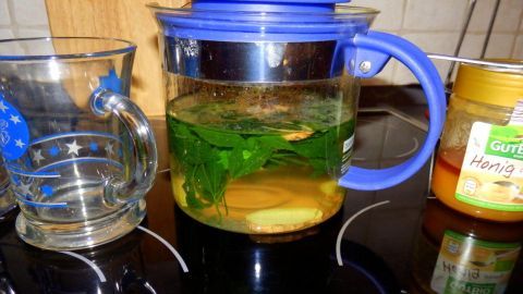 Eine Teekanne mit Jiaogulan, Minze und Ingwer steht auf der Herdplatte, während ein Glas daneben wartet.