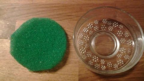 Grüne Schwammform und durchsichtige Schüssel stehen nebeneinander auf einer Holzoberfläche, bereit zum Keimen von Chia-Samen.