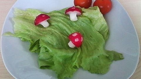 In diesem kreativen Gericht aus Radieschen und Tomaten verwandeln sich einfache Zutaten in süße Fliegenpilze auf einem Bett aus Salat. Eine fantasievolle Idee, die sowohl für Kinder als auch für Feste begeistert. Auf einem weißen Teller liegt frischer Salat, darauf sind kunstvoll gehobelte Radieschen als Fliegenpilze dekoriert, neben zwei kleinen Tomaten.