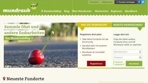 Eine rote Apfel auf einem Asphaltweg, umgeben von grüner Umgebung; die Website ermutigt zum Abernten von Obst.