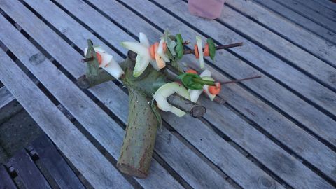 Ein Futterbaum für Nager besteht aus Naturmaterialien und ist mit frischem Gemüse dekoriert, auf einem Holztisch platziert.