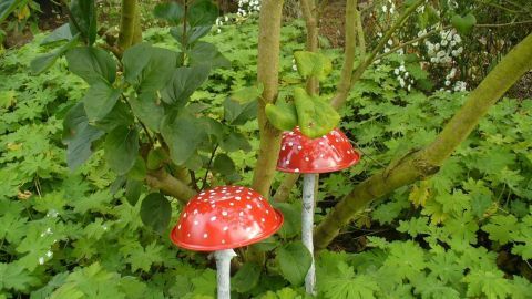 Rote, dekorative Pilze stehen auf grünem Bodenbewuchs im Garten, um die Herbstdeko für den Garten zu verschönern.