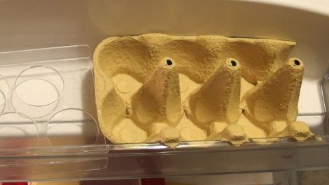 Ein Eierbehälter steht im Kühlschrank und erweitert den Platz für die Lagerung von Eiern.