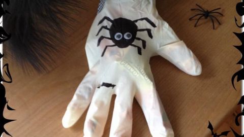 Eine gruselige Halloween-Tüte in Form einer Hand zeigt eine Spinne, die auf ihr sitzt, umgeben von Spinnweben.