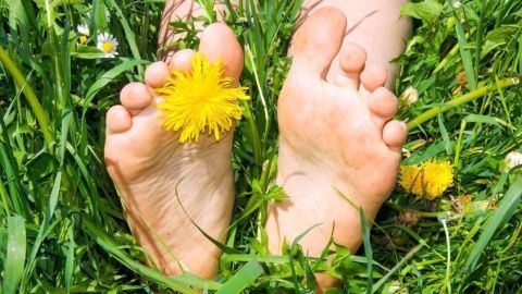 Füße ruhen im grünen Gras, eingebettet in Blumen. Eine Hand hält eine Löwenzahnblüte zwischen den Zehen fest.