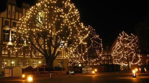 Beleuchtete Weihnachtsbaumkette funkelt in der Nacht, umgeben von festlich erleuchteten Bäumen und einem ruhigen Platz.