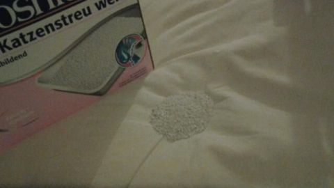Eine Matratze mit frischen Urinflecken liegt im Mittelpunkt, während Katzentoilette zum Entfernen der Flecken daneben steht.
