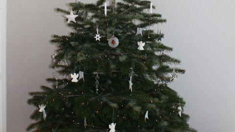 Ein Weihnachtsbaum steht festlich geschmückt, umgeben von bunten Geschenken, die Verpackungsmüll vermeiden sollen.