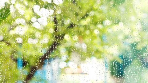Regentropfen perlen an einem Fenster, dahinter verschwommene grüne Bäume im Außenbereich.