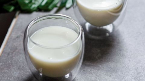 Zwei Gläser mit Ayran stehen auf einer grauen Fläche, umgeben von einer dekorativen grünen Pflanze im Hintergrund.