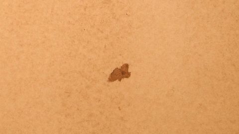 Ein Fliesenbereich zeigt eine kleine Macke, die ausgebessert werden soll, auf einem beigem Untergrund.