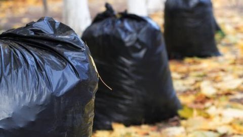 Schwarze Müllsäcke stehen auf einem mit Herbstblättern bedeckten Weg zwischen Bäumen, um Tiere fernzuhalten.