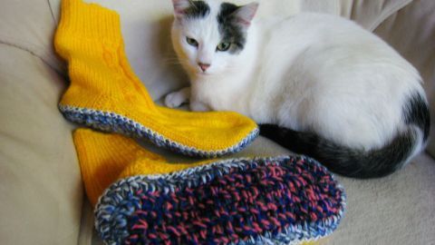 Gestrickte Socken mit dicken Sohlen liegen neben einer Katze auf einem Sofa, warm und gemütlich arrangiert.