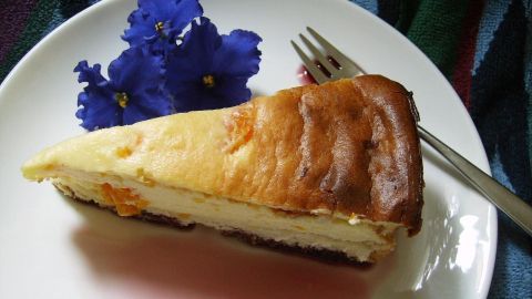 Eine Quark-Schmandtorte mit Mandarinen ist auf einem Teller angerichtet, garniert mit blauen Blumen und einem Gabel.