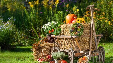 Ein Holzwagen voller Strohballen zeigt Kürbisse, Blumen und Gemüse in einem herbstlichen Garten mit blühenden Pflanzen im Hintergrund.